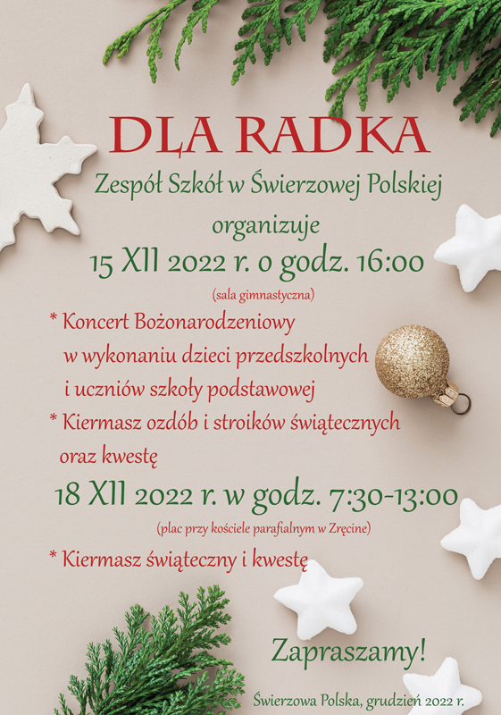 plakat_dla_Radka_fb_str